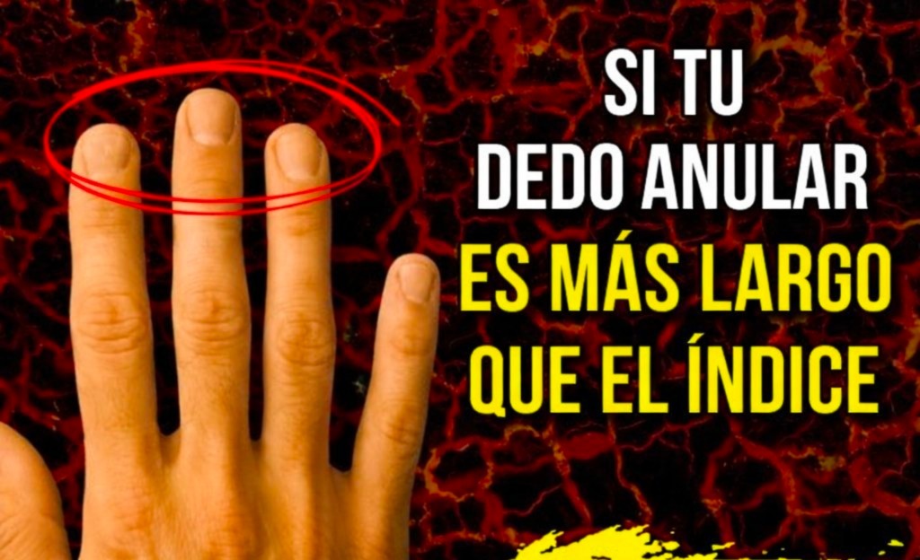 Mira tu dedo anular y descubre qué puede revelar sobre ti. | Todo para ti
